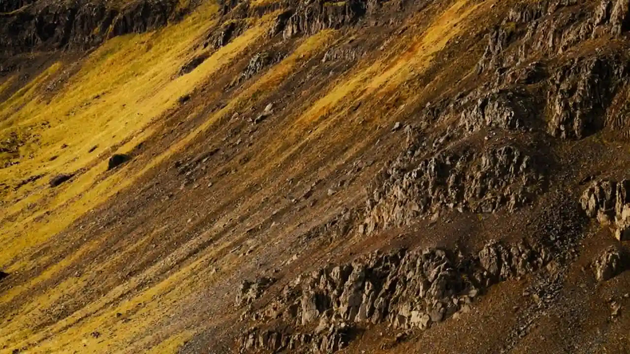 邪恶帝邪恶道邪恶天堂虚拟世界中的黑暗美学